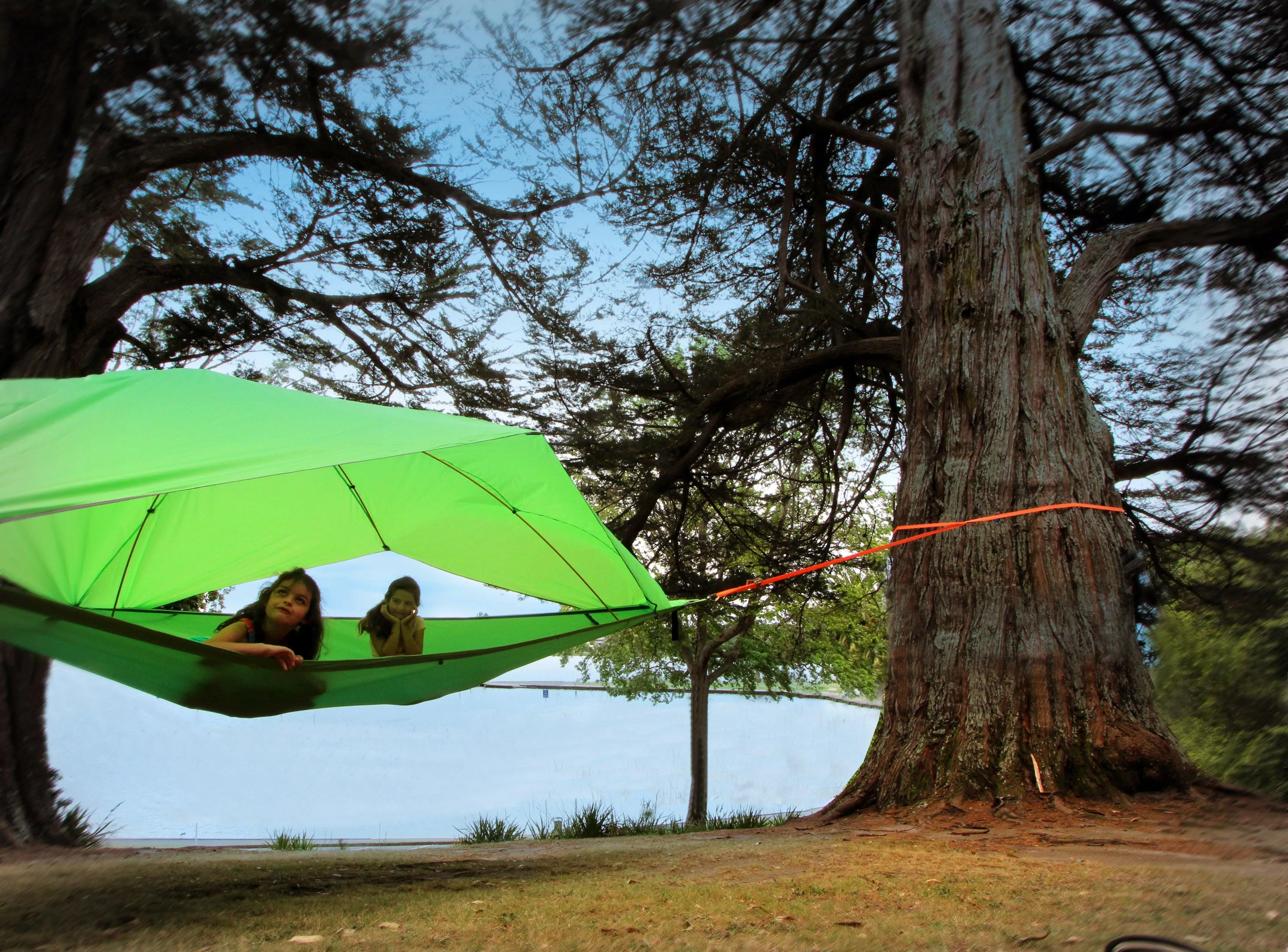 Tentsile Vista Tree Tent