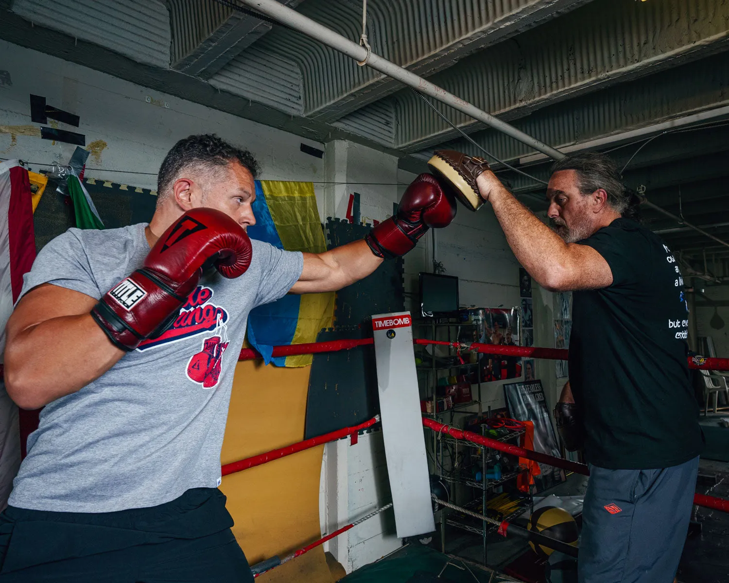 TITLE Boxing Retro Old School Punch Mitts